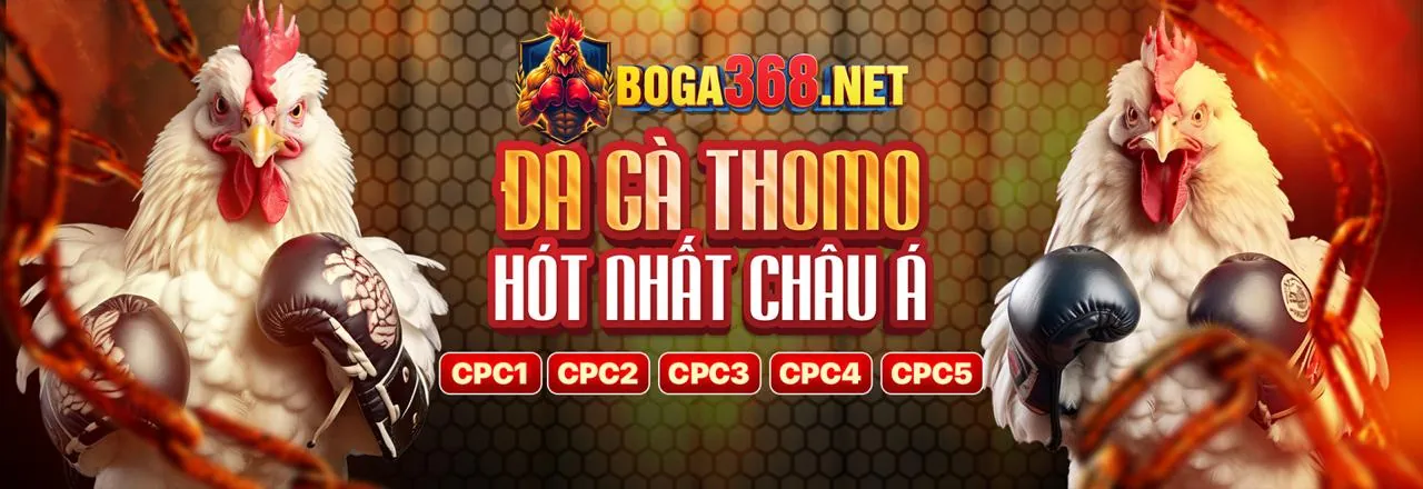Đá Gà Trực Tuyến GOD55 2026